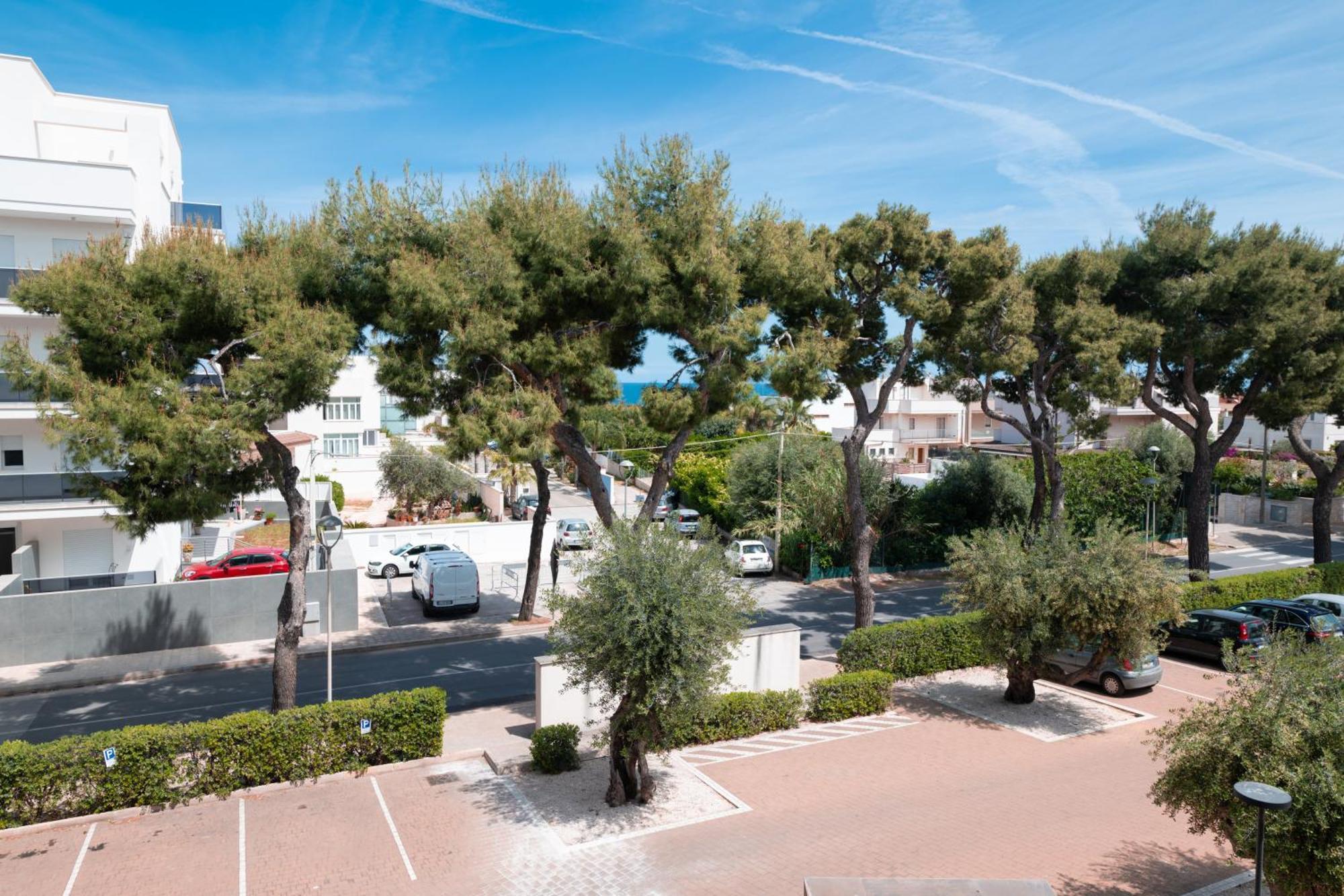 Monopoli Favolosa - Spacious 100Mq Apt. W/ Parking 外观 照片