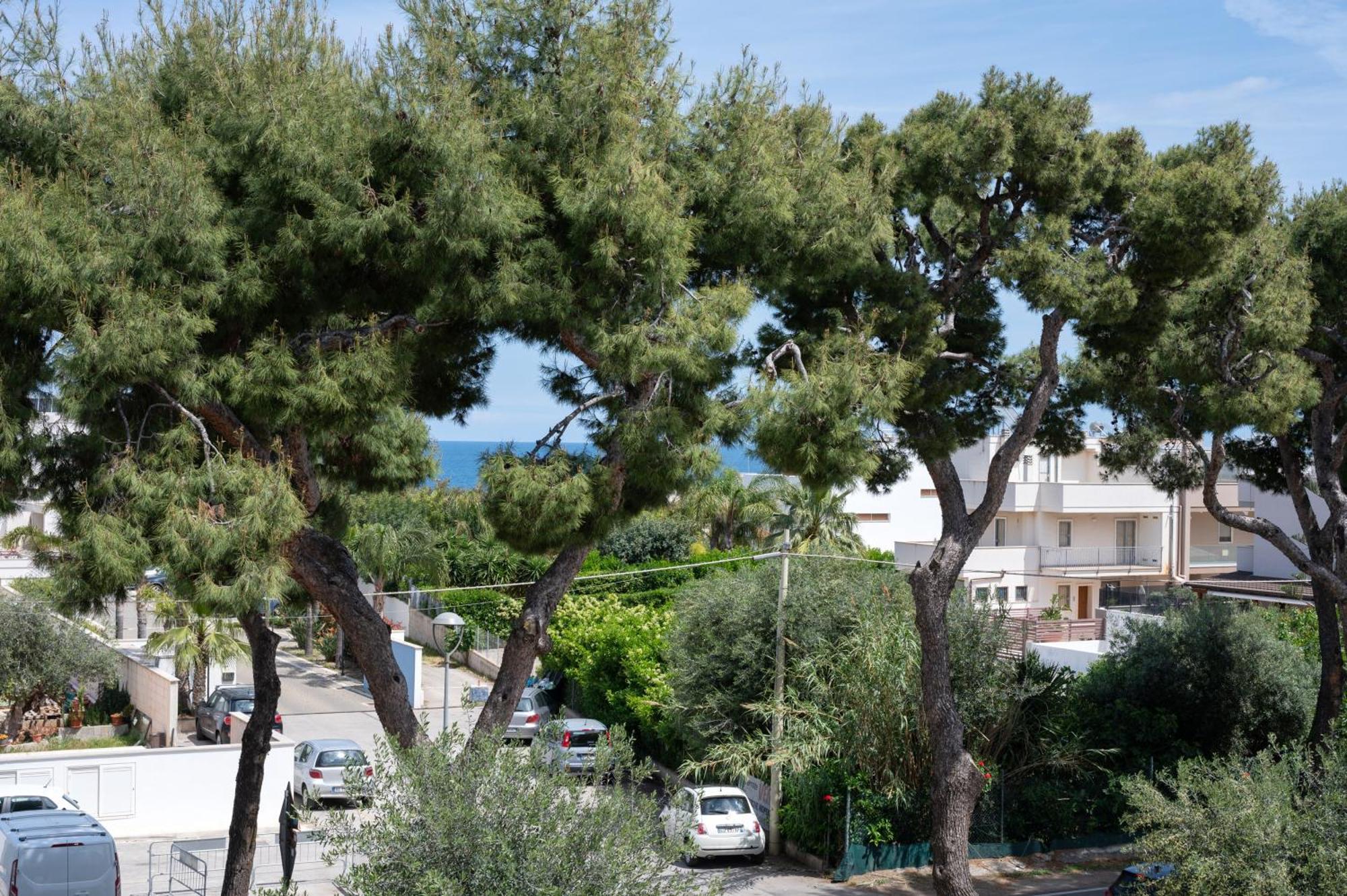 Monopoli Favolosa - Spacious 100Mq Apt. W/ Parking 外观 照片